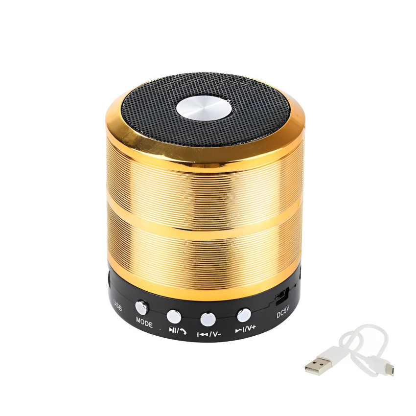 Φορητό Μίνι Bluetooth Ηχείο WS-887 5W - Χρώμα: Χρυσό